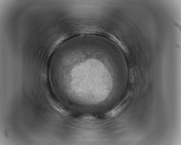 X0000098220203200804241352