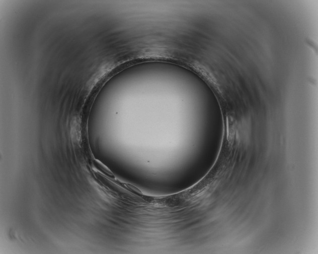 X0000098220204200804241352