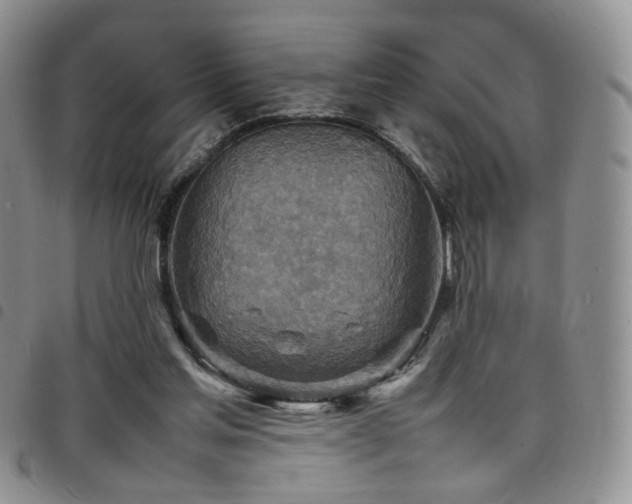 X0000098220205200804241352