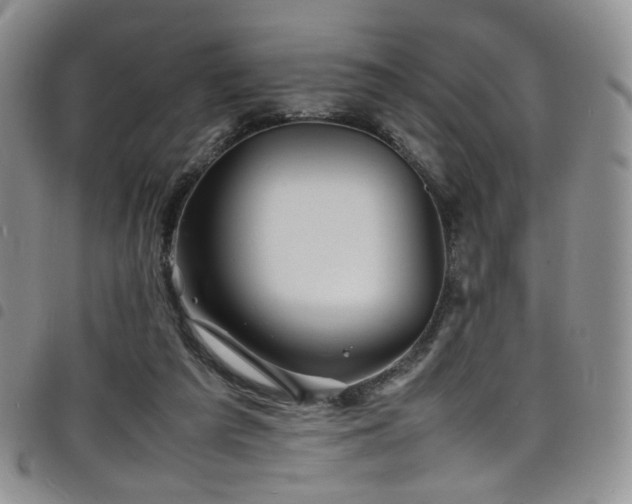X0000098220209200804241352