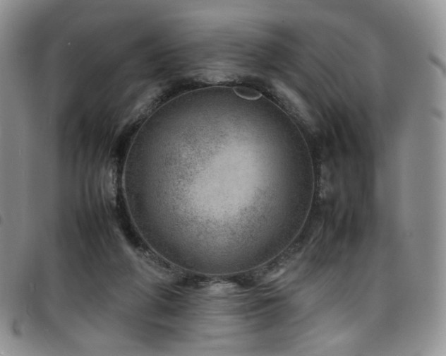 X0000098220210200804241352