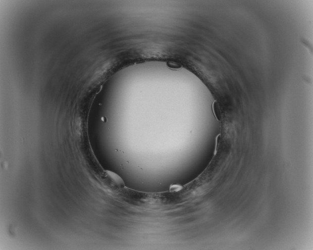 X0000098220211200804241351