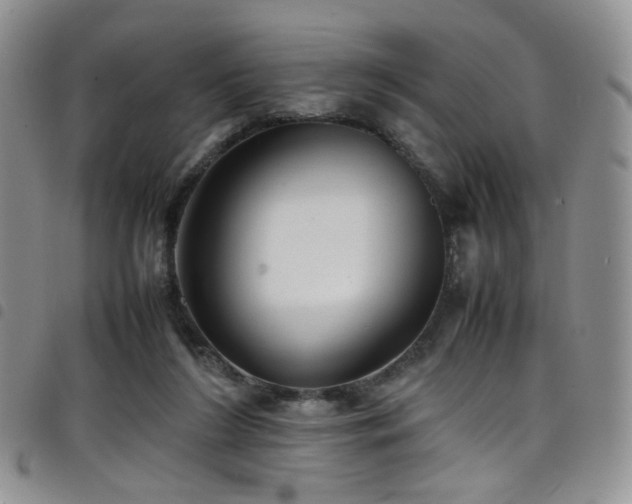 X0000098220212200804241351