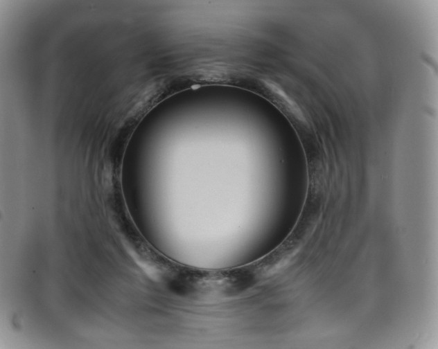 X0000098220213200804241351