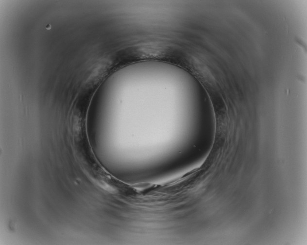 X0000098220215200804241351