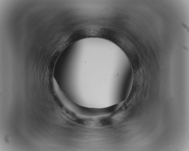 X0000098220217200804241351