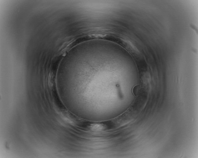 X0000098220218200804241351