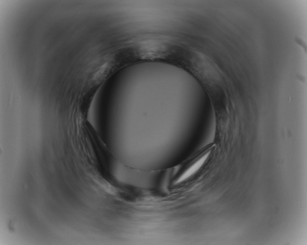 X0000098220219200804241351
