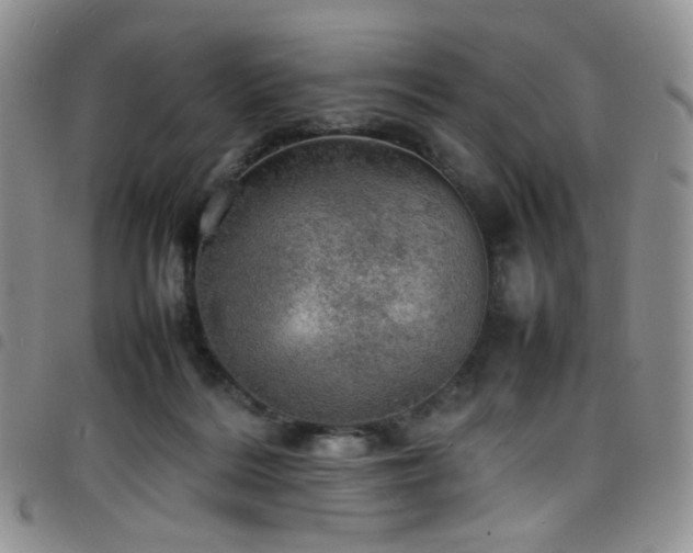 X0000098220220200804241351