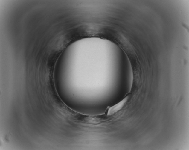 X0000098220221200804241351