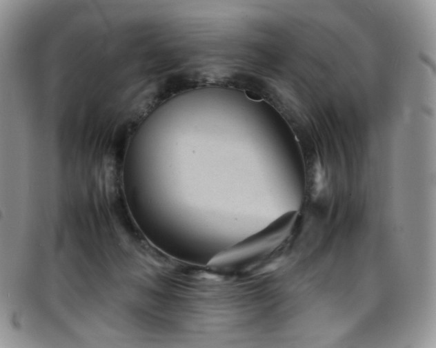 X0000098220222200804241351