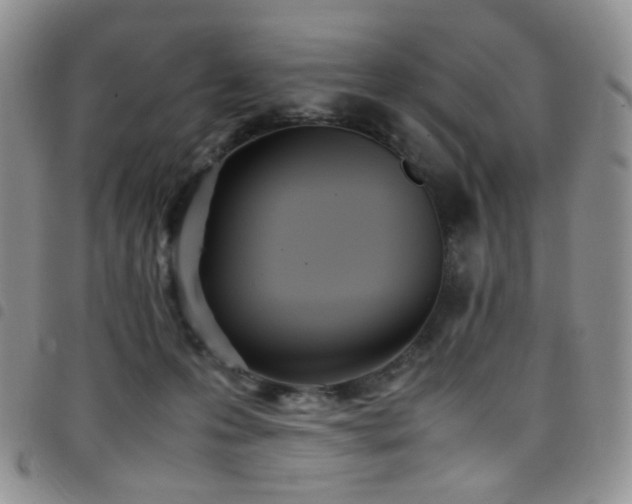 X0000098220223200804241351