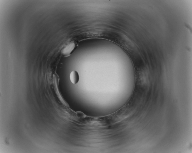 X0000098220224200804241351