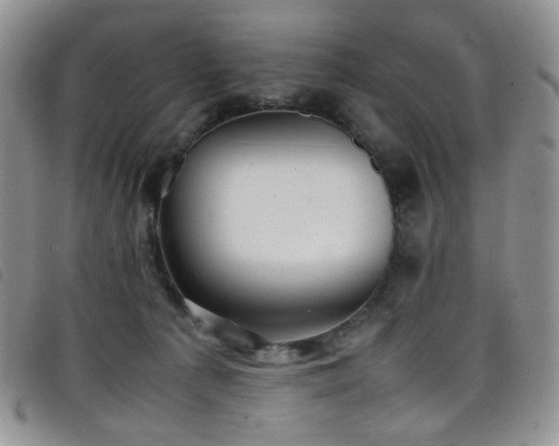 X0000098220225200804241351