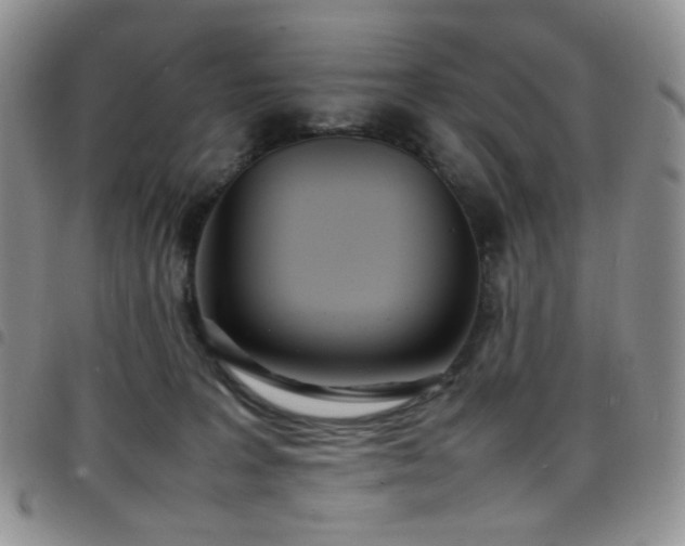 X0000098220227200804241351