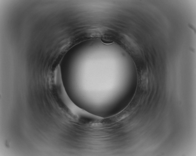 X0000098220228200804241351