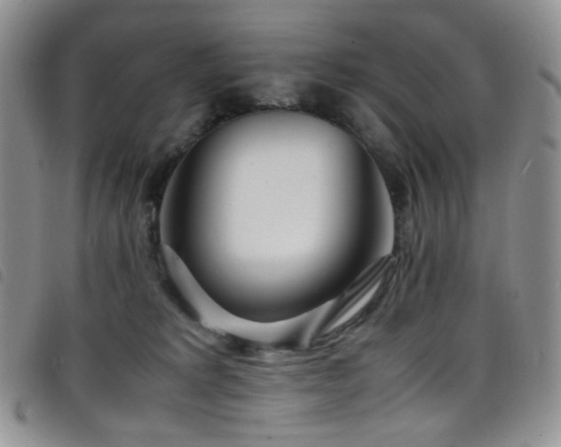 X0000098220229200804241351