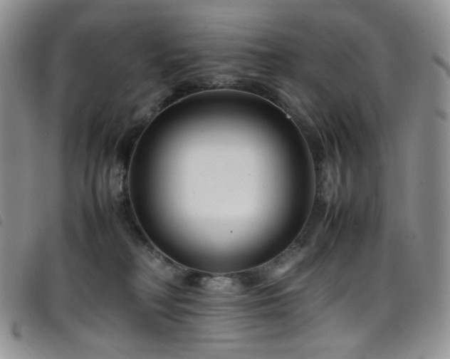 X0000098220230200804241351