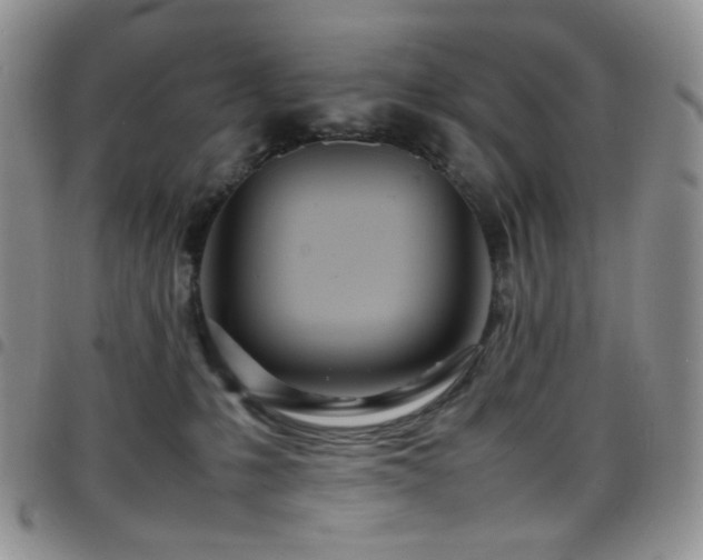 X0000098220231200804241351