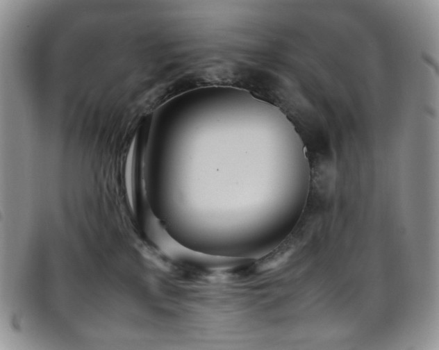 X0000098220233200804241351
