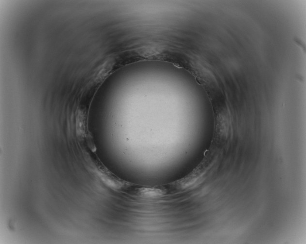 X0000098220234200804241351