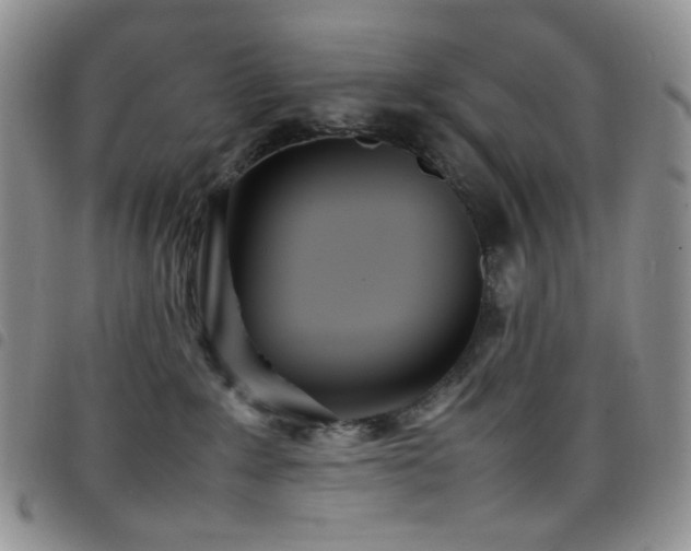 X0000098220235200804241351