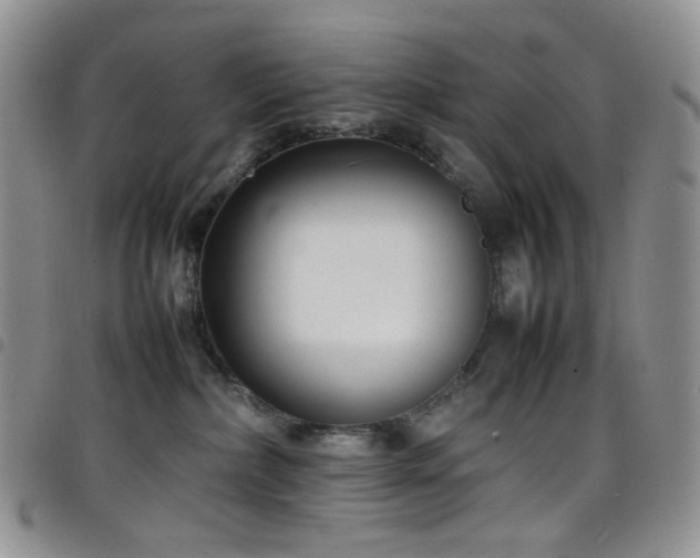 X0000098220236200804241351