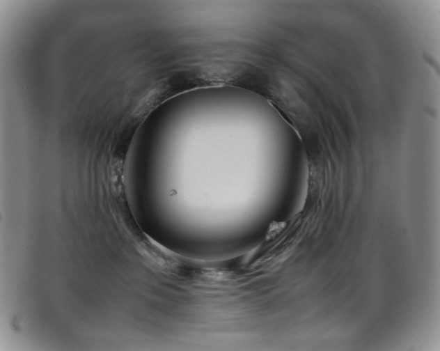 X0000098220237200804241351