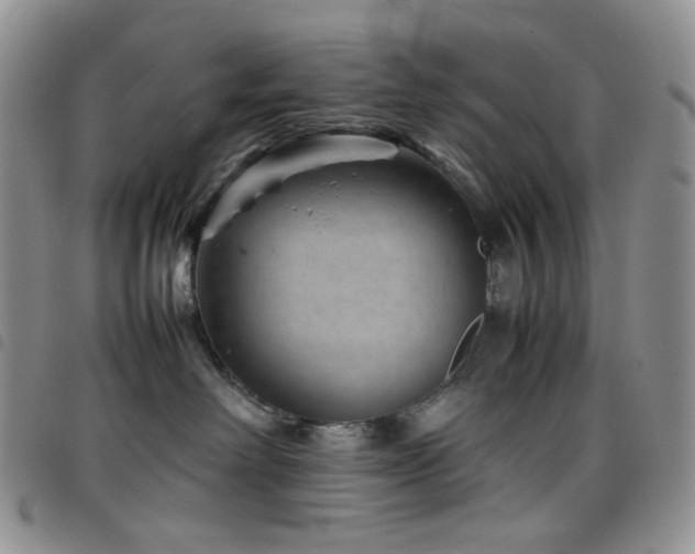 X0000098220238200804241351