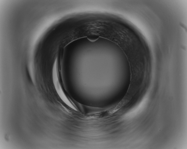 X0000098220239200804241351