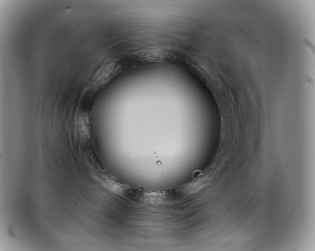 X0000098220240200804241351