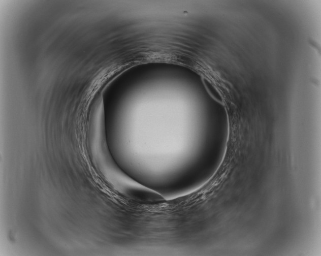 X0000098220241200804241350