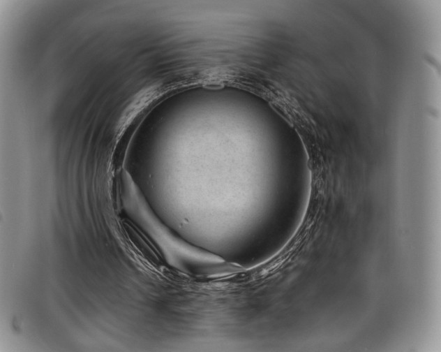 X0000098220242200804241350