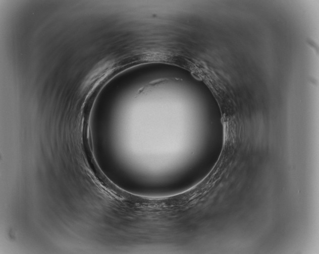 X0000098220243200804241350