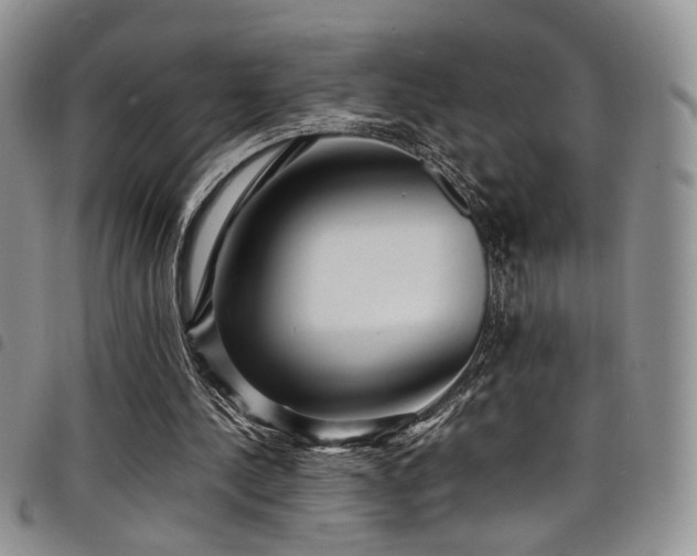 X0000098220244200804241350