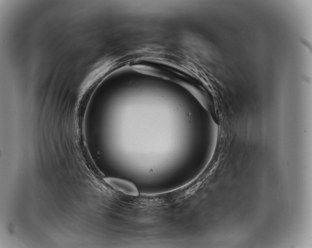 X0000098220245200804241350