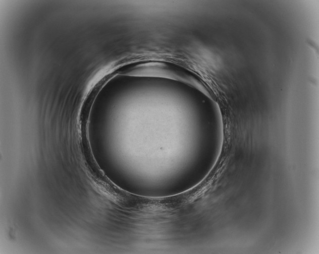 X0000098220246200804241350