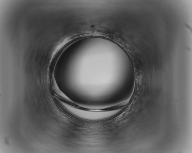 X0000098220248200804241350
