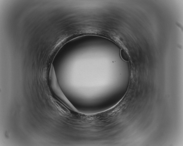 X0000098220249200804241350