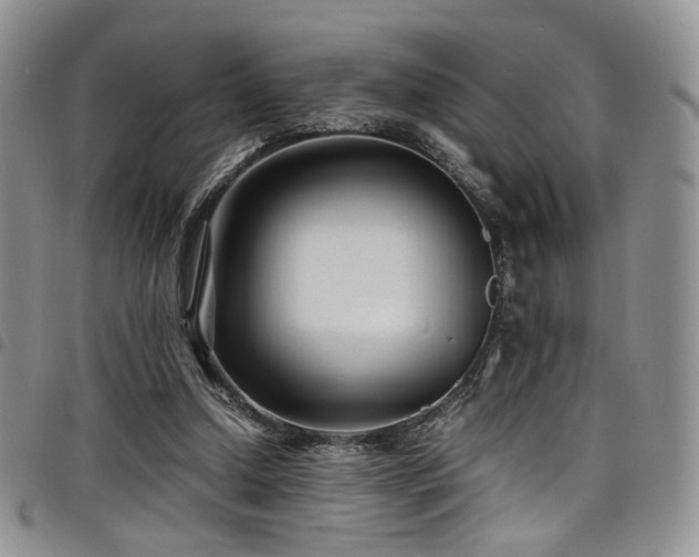 X0000098220250200804241350