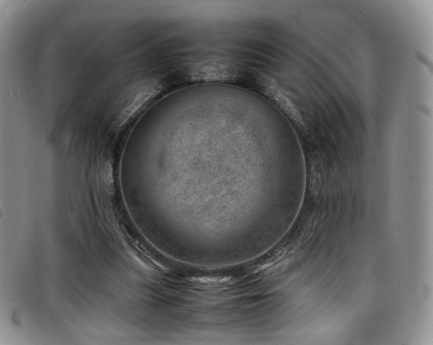 X0000098220251200804241351