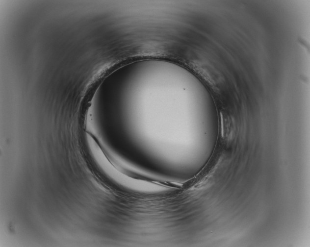 X0000098220252200804241351