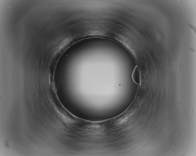 X0000098220253200804241351