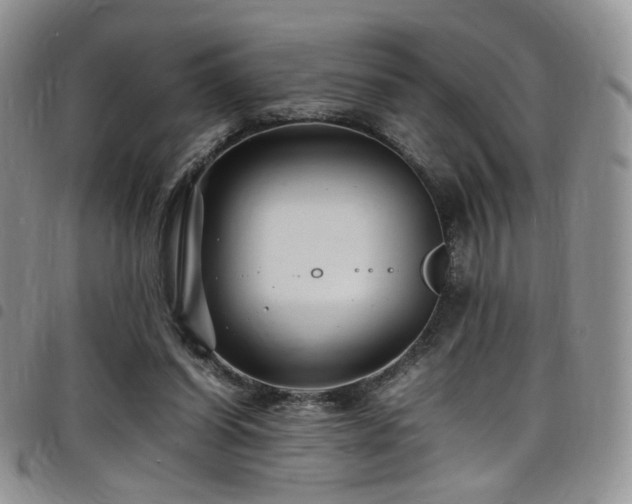 X0000098220254200804241351
