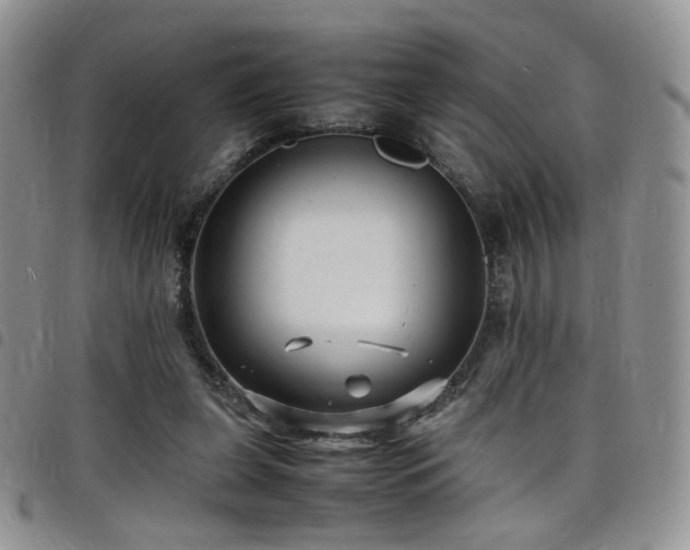 X0000098220255200804241351