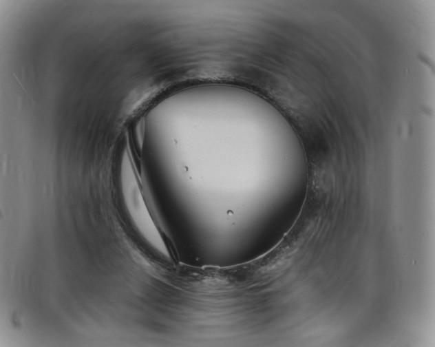 X0000098220256200804241351