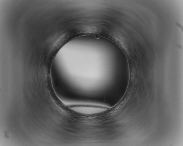 X0000098220257200804241351