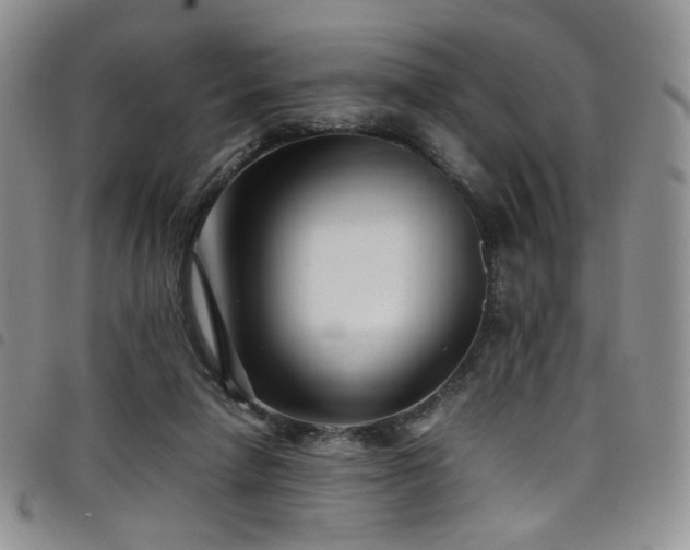 X0000098220258200804241351