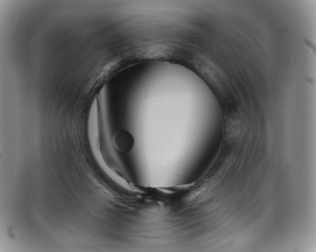 X0000098220260200804241351