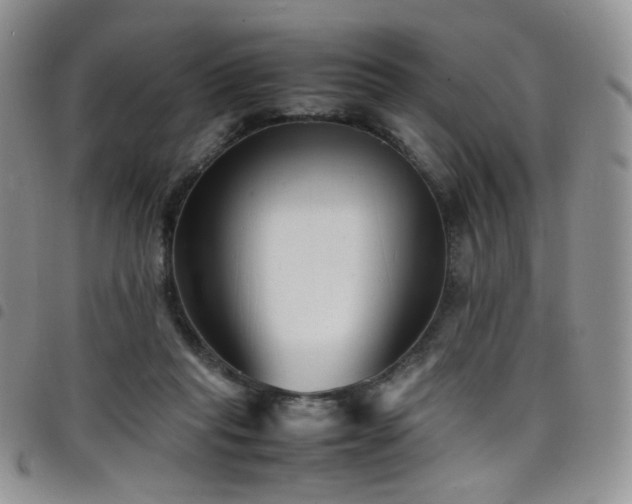 X0000098220261200804241351